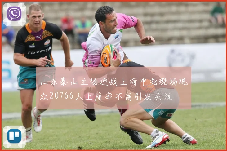 山东泰山主场迎战上海申花现场观众20766人上座率不高引发关注