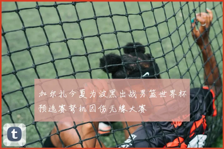 加尔扎今夏为波黑出战男篮世界杯预选赛弩机因伤无缘大赛